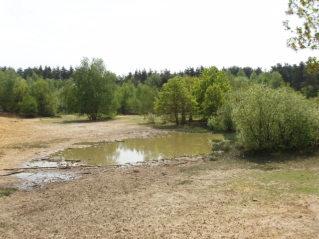 Horsell Common & H G Wells